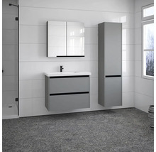 Spiegelschrank Devo Etna 2.0 rechts BxHxT 75x70x16 cm dust grey
