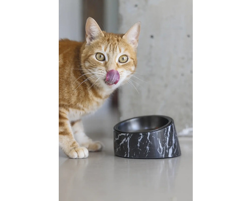 Katze leckt sich die Lippen neben einem Futternapf