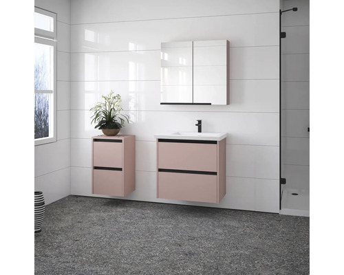 Modernes Badezimmer mit Waschtisch, Spiegelschrank und Pflanze