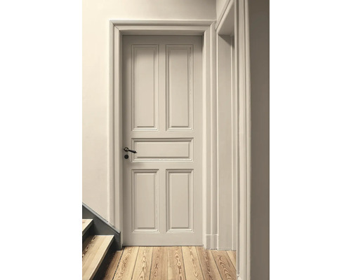 Klassische Kassettentür mit Türrahmen in einem hellen Raum.