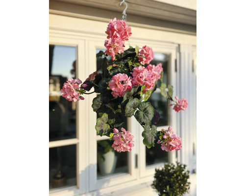 Hängegeranie mit Haken vor einem Fenster