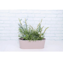 Pflanztopf Metall 27,5 x 11,3 x 9 cm rosa
