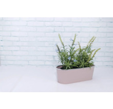 Pflanztopf Metall 27,5 x 11,3 x 9 cm rosa