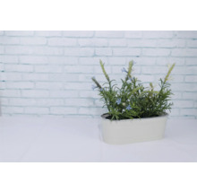 Pflanztopf Metall 27,5 x 11,3 x 9 cm creme