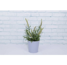Künstlicher Lavendel in einem Topf