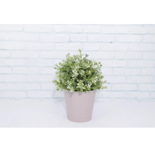 Pflanzgefäß Metall rund Ø 14 cm H 12,7 cm rosa