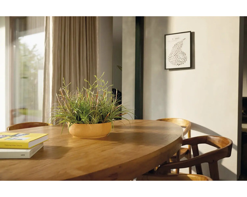 Esszimmerszene mit Holztisch, Stühlen und Topfpflanze