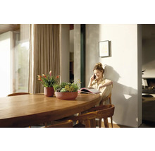 Helle Inneneinrichtung mit Holztisch und bepflanzten Übertöpfen