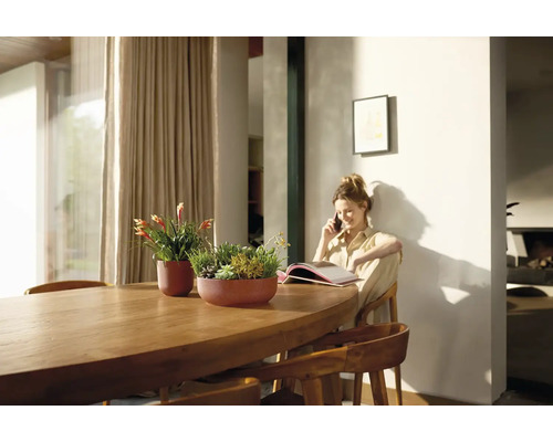 Helle Inneneinrichtung mit Holztisch und bepflanzten Übertöpfen