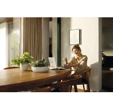 Helle Wohnung mit Holztisch, Zimmerpflanzen, Frau mit Laptop und Getränk