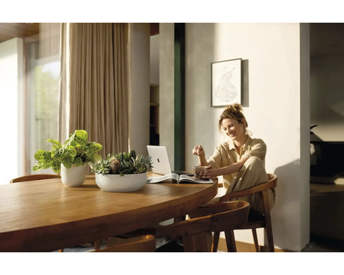 Helle Wohnung mit Holztisch, Zimmerpflanzen, Frau mit Laptop und Getränk