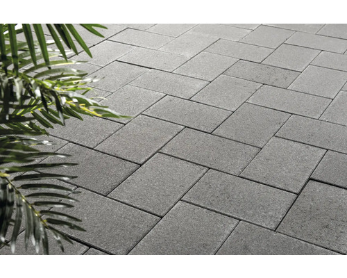 Graue Pflastersteine im Fischgrätenmuster mit Pflanze