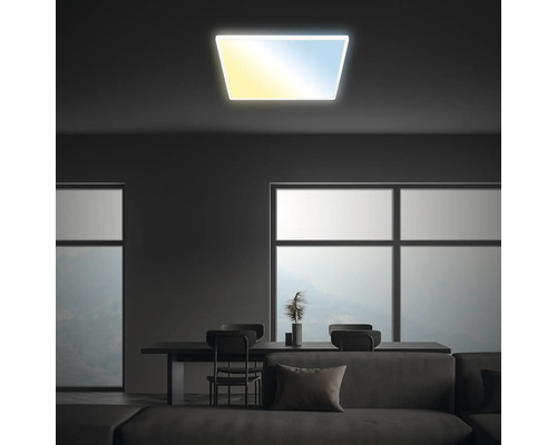 Wohnraum mit Deckenleuchte, Esstisch und Sofa