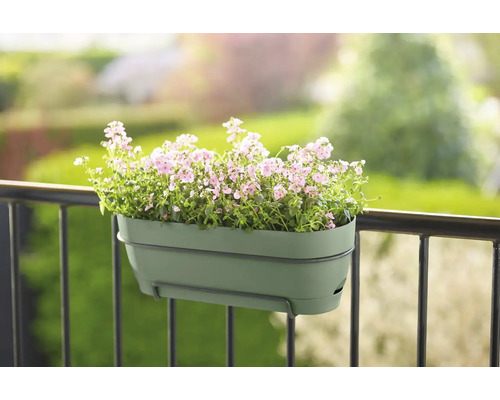 Blumenkasten mit Blumen am Balkongeländer