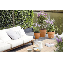 Blumentopf Elho Vibia Campana Kunststoff 24,5 x 24,5 x 21 cm braun