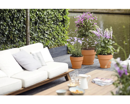 Terrasse mit Pflanzgefäßen, Sofa und Tisch in Gartengestaltung