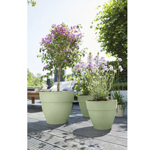 Blumentopf Elho Vibia Campana Kunststoff 24,5 x 24,5 x 21 cm grün