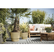 Blumentopf Elho Greenville Kunststoff 29,5 x 29,5 x 27,8 cm beige