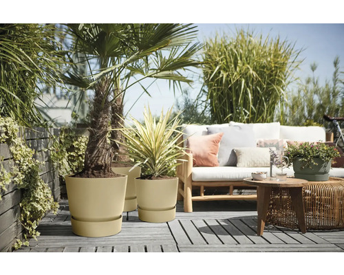 Terrasse mit Pflanzen in Blumentöpfen und Sitzgruppe