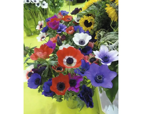 Blumenstrauß mit Anemonen und Sonnenblumen
