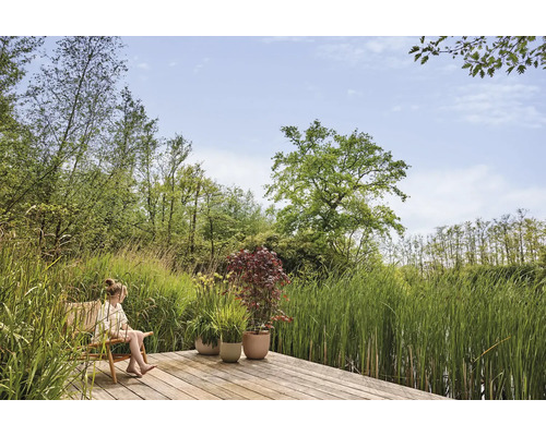 Gartenszene mit Holzterrasse, bepflanzten Töpfen und einer Person auf einem Stuhl, umgeben von üppigem Grün