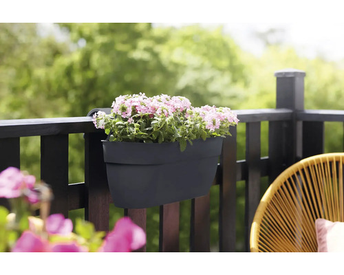 Balkonkasten mit Blumen am Geländer