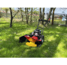 Schlegelmäher im Gras