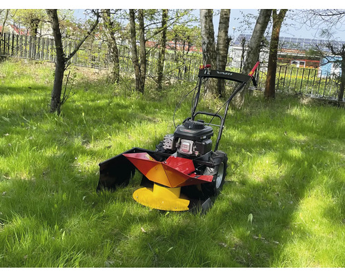 Schlegelmäher im Gras