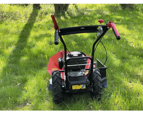 Hochgras-Rasenmäher auf einer Wiese