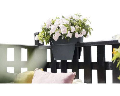 Blumentopf mit weißen Blumen auf einem Balkongeländer