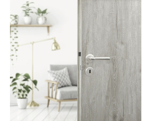 Dekorative Innentür mit Türgriff in einem hellen Raum