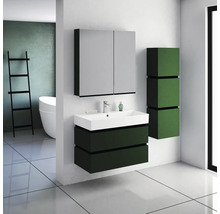 Spiegelschrank Devo Viva 2.0 links BxHxT 70x85x15 cm conifer green supermatt