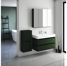 Spiegelschrank Devo Viva 2.0 BxHxT 100x85x15 cm conifer green supermatt