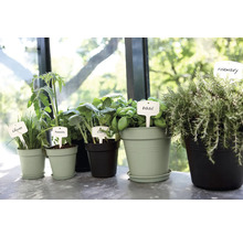 Untersetzer Elho Green Basics Kunststoff Ø 29 cm pistaziengrün