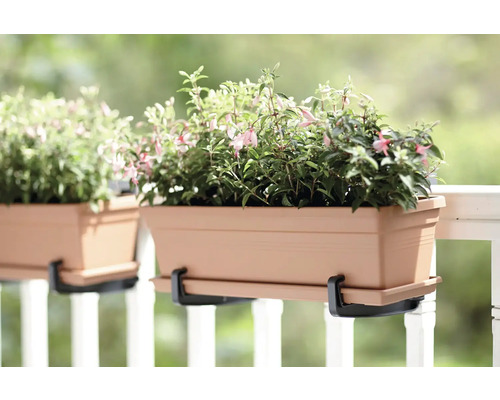 Blumenkasten mit Halterung und Pflanzen auf einem Balkon