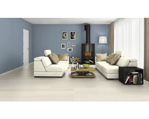 Wohnzimmer mit Sofas, Kamin und Holzboden