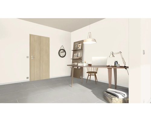 Heller Raum mit Schreibtisch, Stuhl, Regalen und Tür