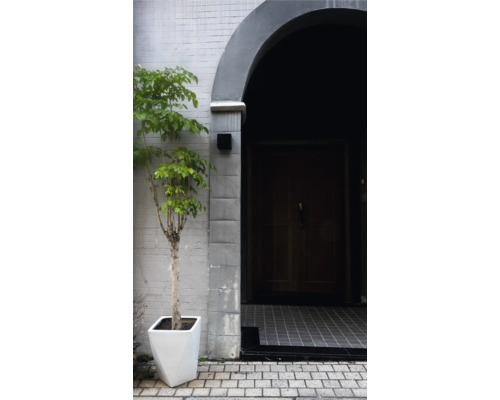 Eingangsbereich mit Pflanze in modernem Topf und massiver Holztür