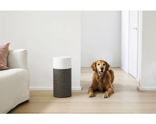 Ein Luftreiniger steht neben einem Golden Retriever in einem hellen Raum.