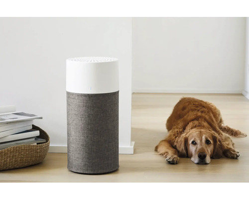 Raumluftreiniger neben einem Hund und einem Korb mit Zeitschriften
