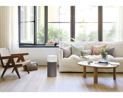 Wohnzimmer mit Luftreiniger, Sofa und Sessel