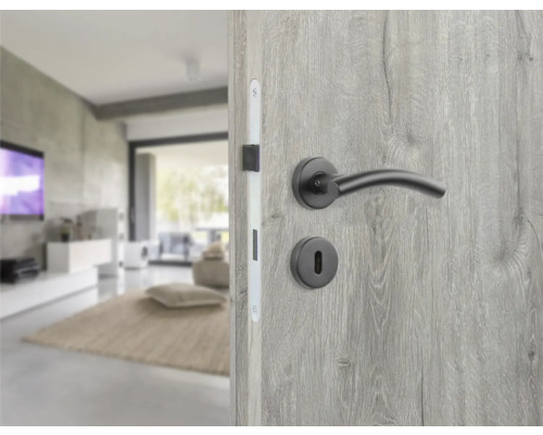 Geöffnete Tür mit modernem Türbeschlag in einem Wohnraum