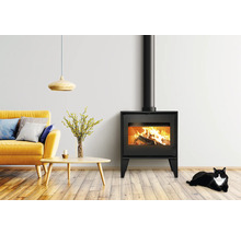 Wohnzimmer mit Kaminofen, Sofa, Tisch, Pendelleuchte und Katze