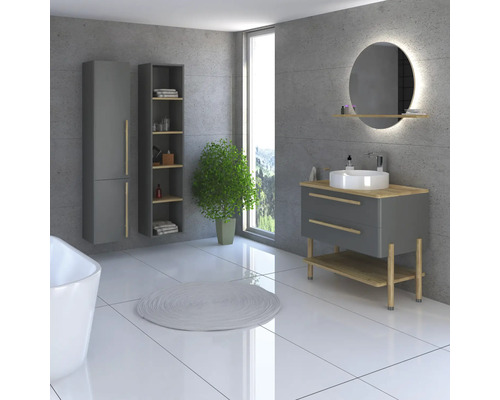 Badezimmer mit Waschbecken, Spiegel, Schrank und Pflanze