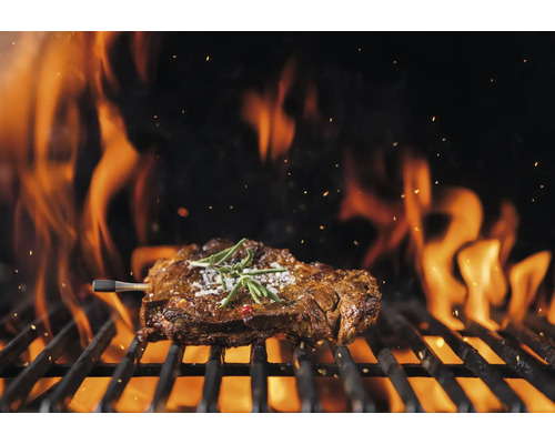 Ein Steak wird auf einem Grill mit Flammen gegrillt.