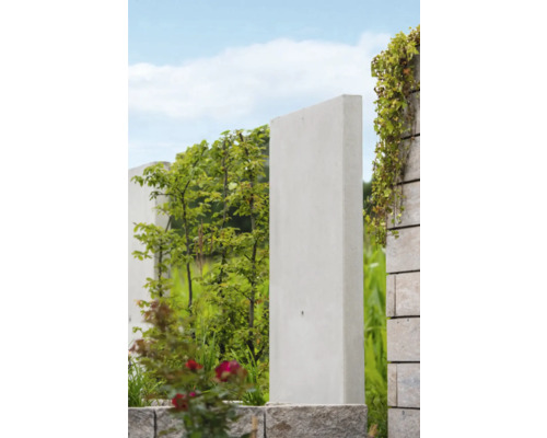 Gartenszene mit Betonsichtschutzelementen und Pflanzen