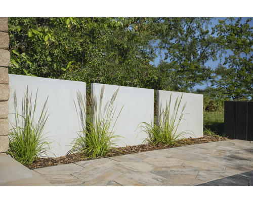 Gartenszene mit Betonmauern, Ziergräsern und Pflastersteinen für den Außenbereich