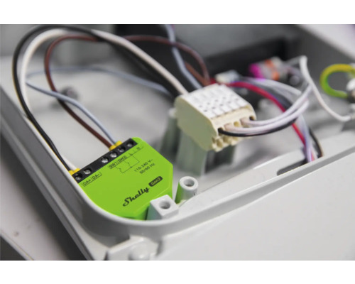 Shelly Logo der dritten Generation mit Kabeln in einer Verteilerdose