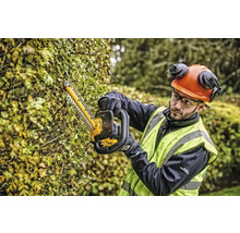 Eine Person schneidet eine Hecke mit einer Heckenschere und trägt dabei Schutzkleidung.