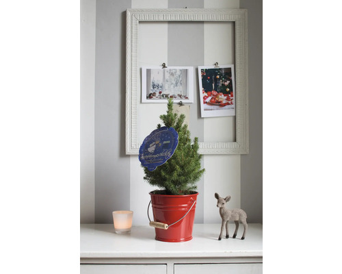 Weihnachtsbaum im roten Eimer mit Dekoration auf Kommode